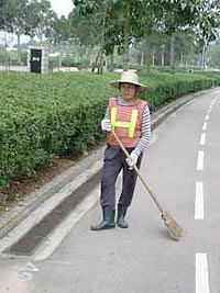 lady sweeper