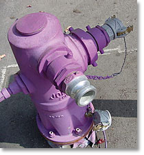 Recycled Water Hydrant Closeup