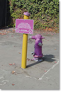 Recycled Water Fire Hydrant
