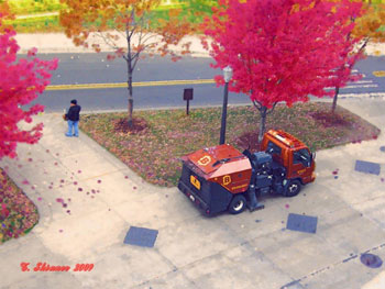 Notre Dame Cleanup